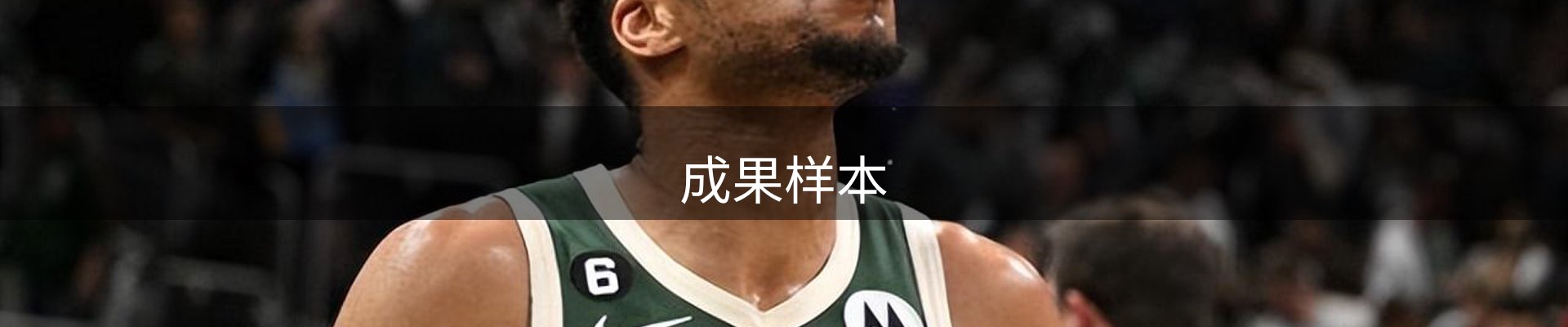 成果样本